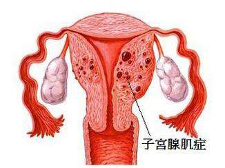 快报纪实 第42页