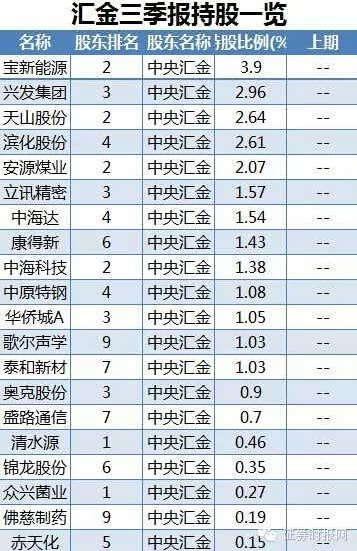 证金公司最新持股名单,证金公司最新股东榜揭晓