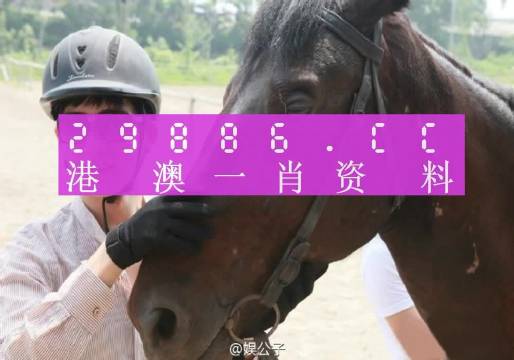 澳门今晚必中一肖一码90—20｜平台落实解释解答｜更新版I61.493