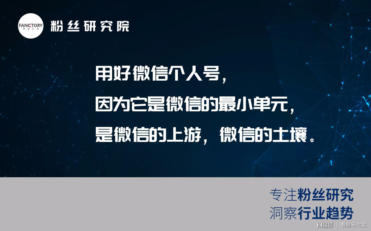 野花鲁官方网址全新升级，揭秘神秘新域名